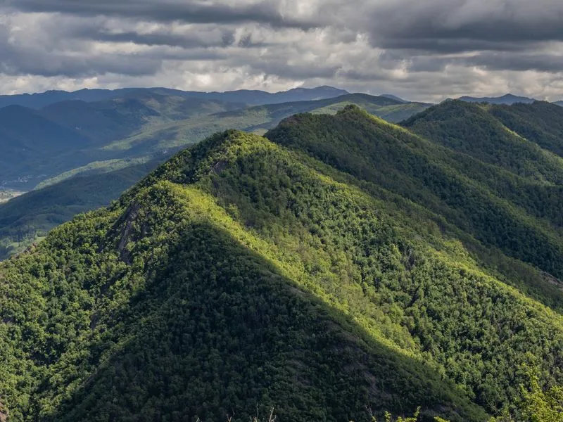 440441432 408175252122433 7752119455374906247 N