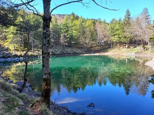 Un placido laghetto di acqua verde circondato da abeti nel cuore dell'Appennino Ligure