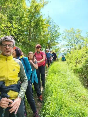 Gruppo di escursionisti su sentiero in campagna.